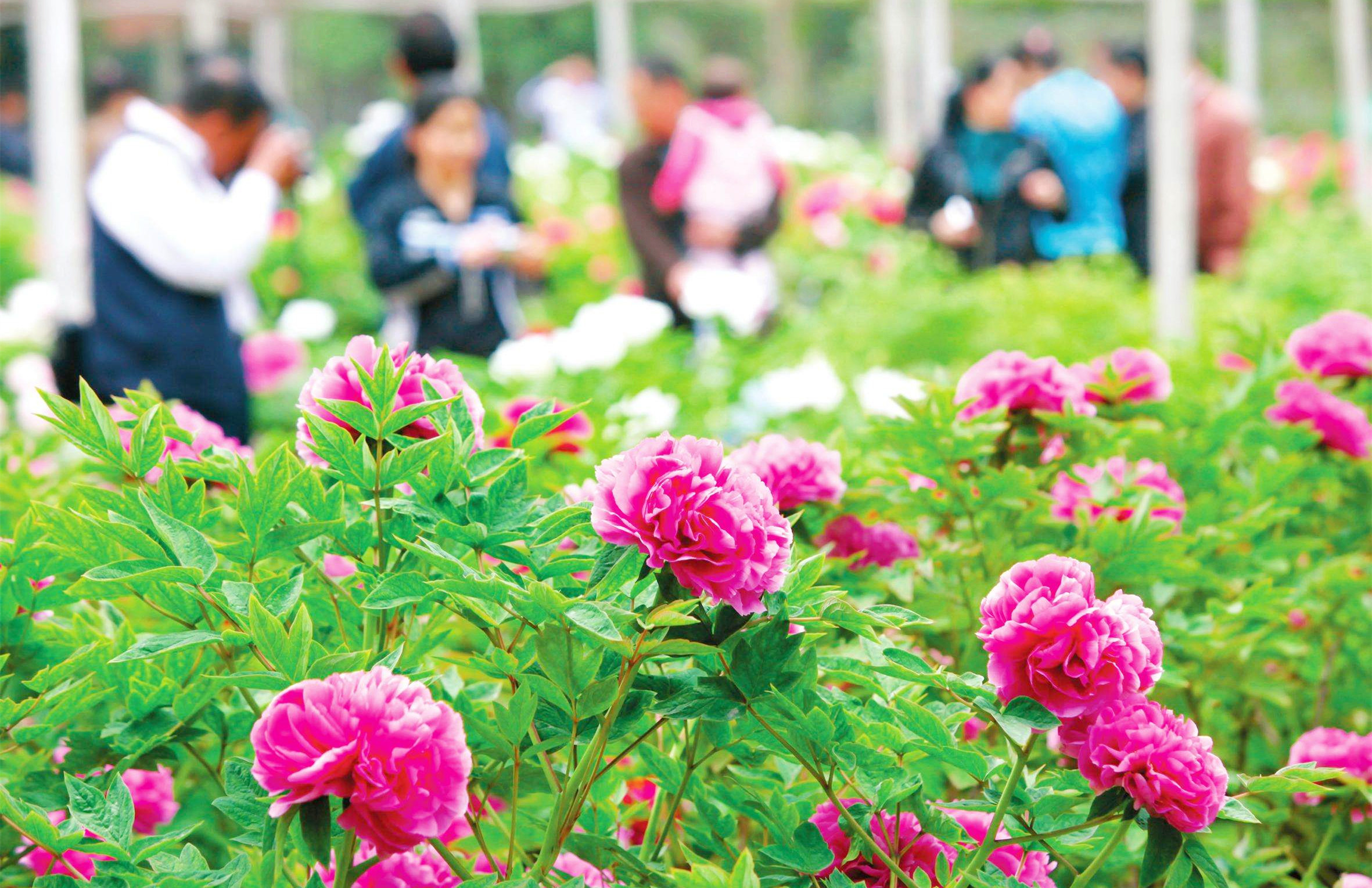 &#21315;&#20159;&#20307;&#32946;&#30331;&#24405;&#32593;&#31449;&#65288;&#20013;&#22269;&#65289;&#38598;&#22242;&#26377;&#38480;&#20844;&#21496;